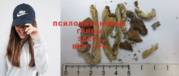 гашик Волосово