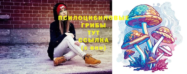 крисы Бронницы