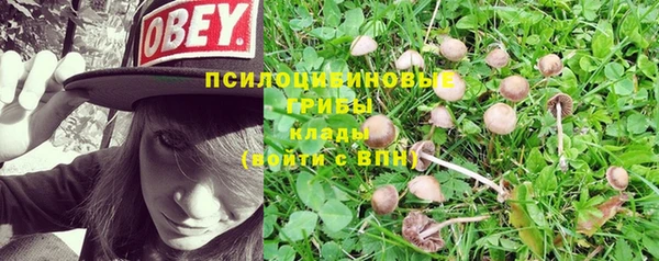прущий лед Анжеро-Судженск